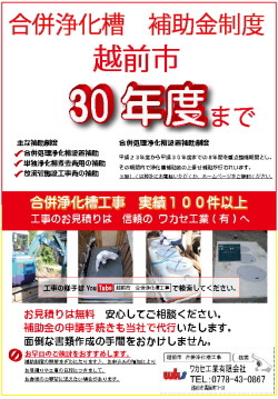 �z�O�s�̍����򉻑��̕⏕�����x�͕���30�N�܂łł�