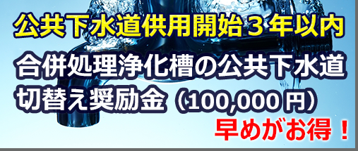 �����򉻑��ؑւ������